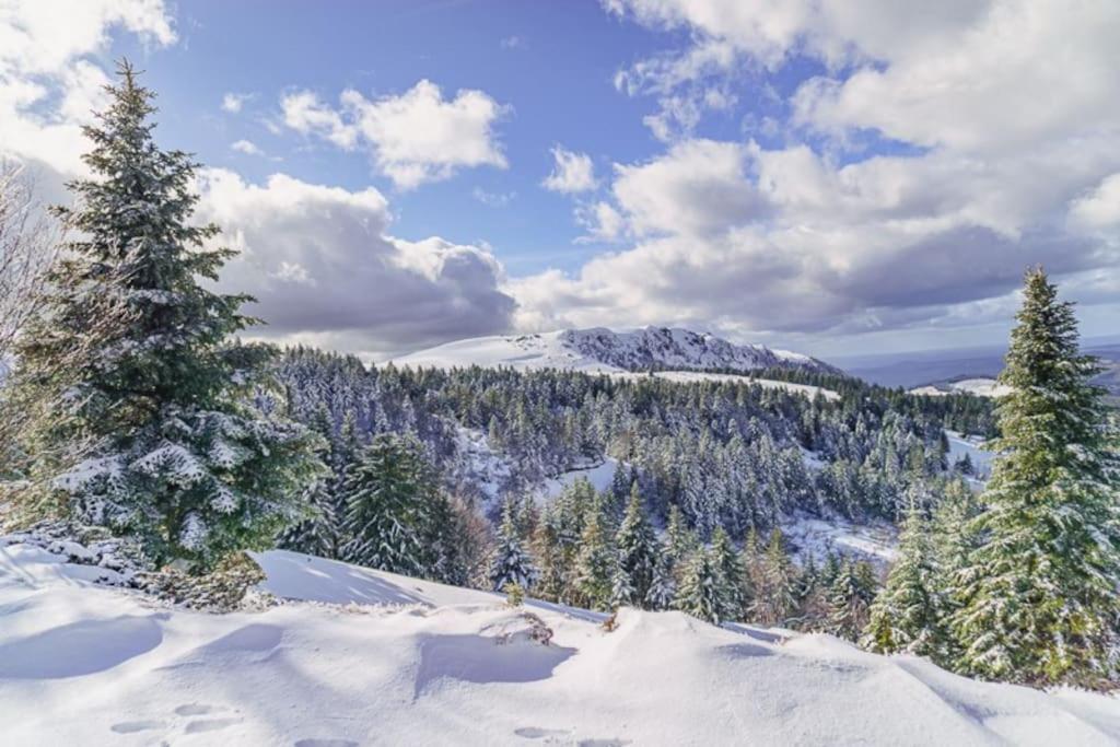 Appt Lumineux, Thermes Et Montagne Ла-Бурбуль Екстер'єр фото