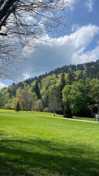 Appt Lumineux, Thermes Et Montagne Ла-Бурбуль Екстер'єр фото