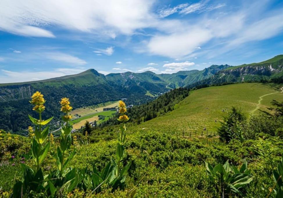 Appt Lumineux, Thermes Et Montagne Ла-Бурбуль Екстер'єр фото